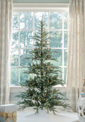 7' King Noble Fir Tree with Warm White LED Lights - OPEN BOX - FINAL SALE