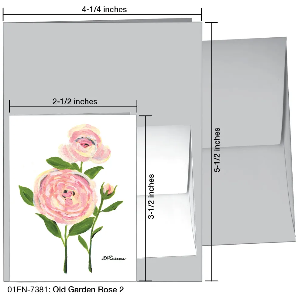 Old Garden Rose 2, Greeting Card (7381)